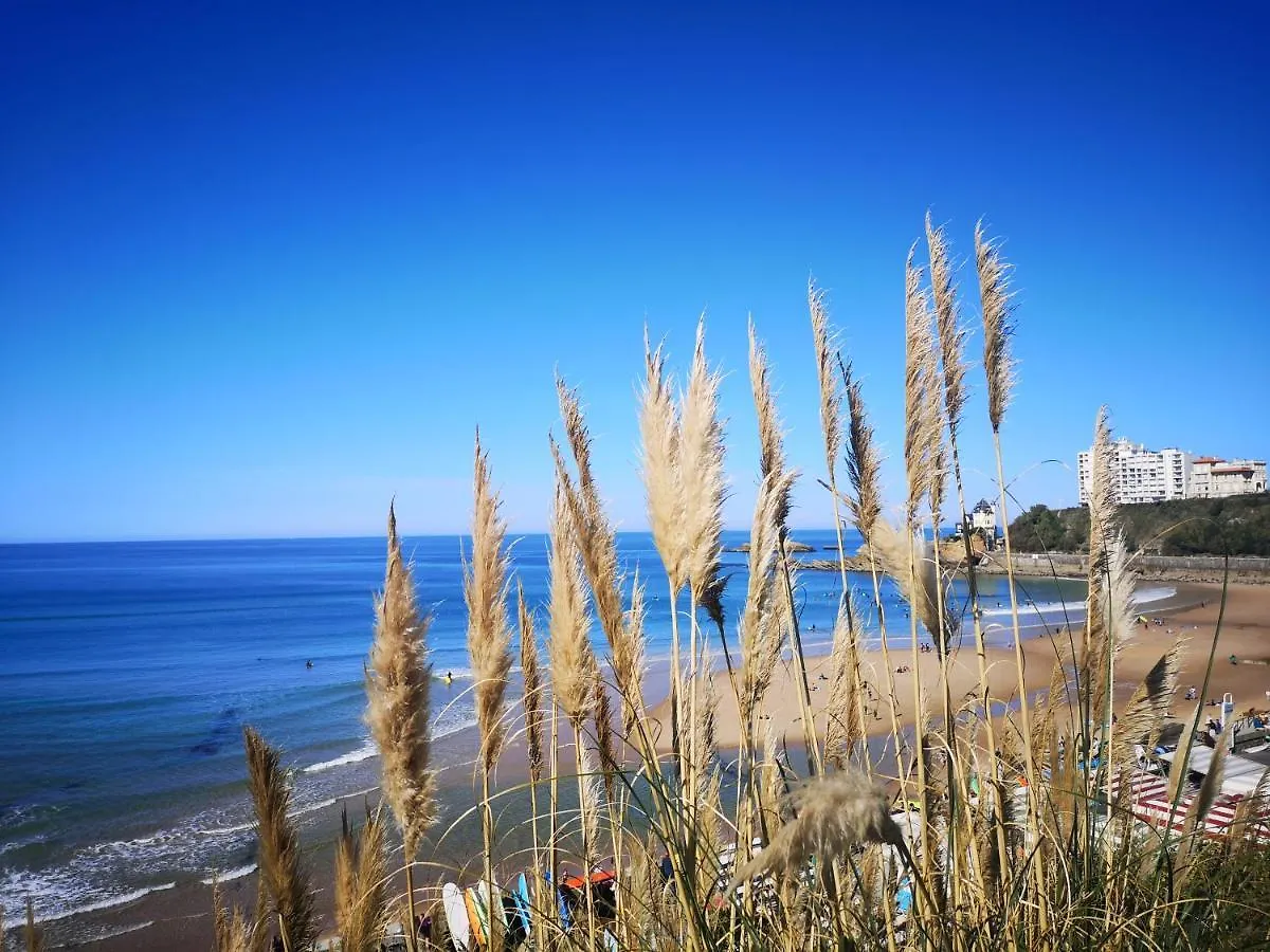 Chambre D'Hotes Villa Bibicheri Biarritz Bed & Breakfast